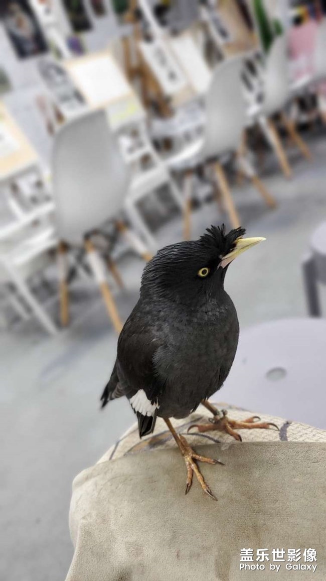 周末放風(fēng)～