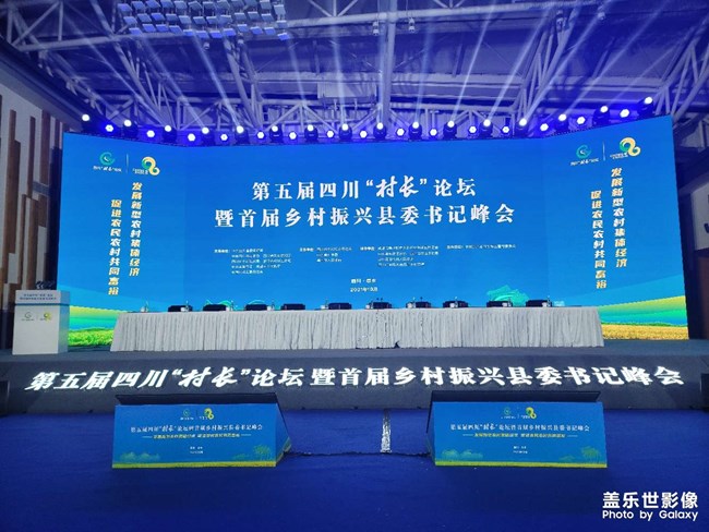 邊牧可愛(ài)的邊牧 很不錯(cuò)