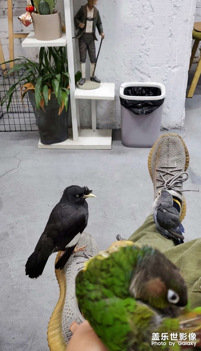 周末放風(fēng)～