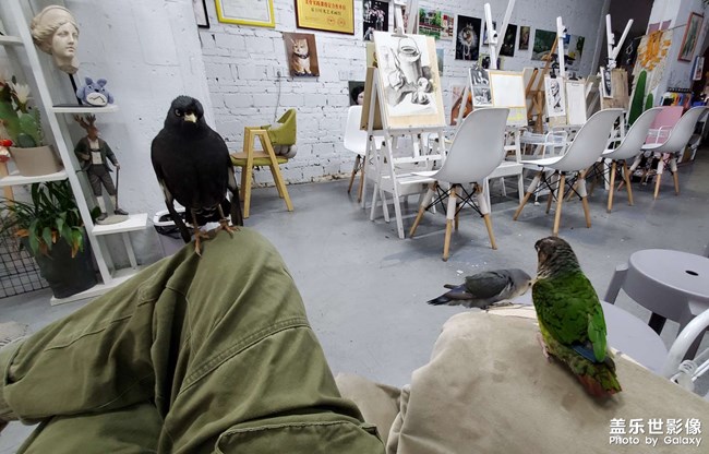 周末放風(fēng)～