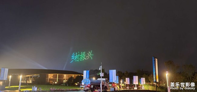 邊牧可愛(ài)的邊牧 很不錯(cuò)