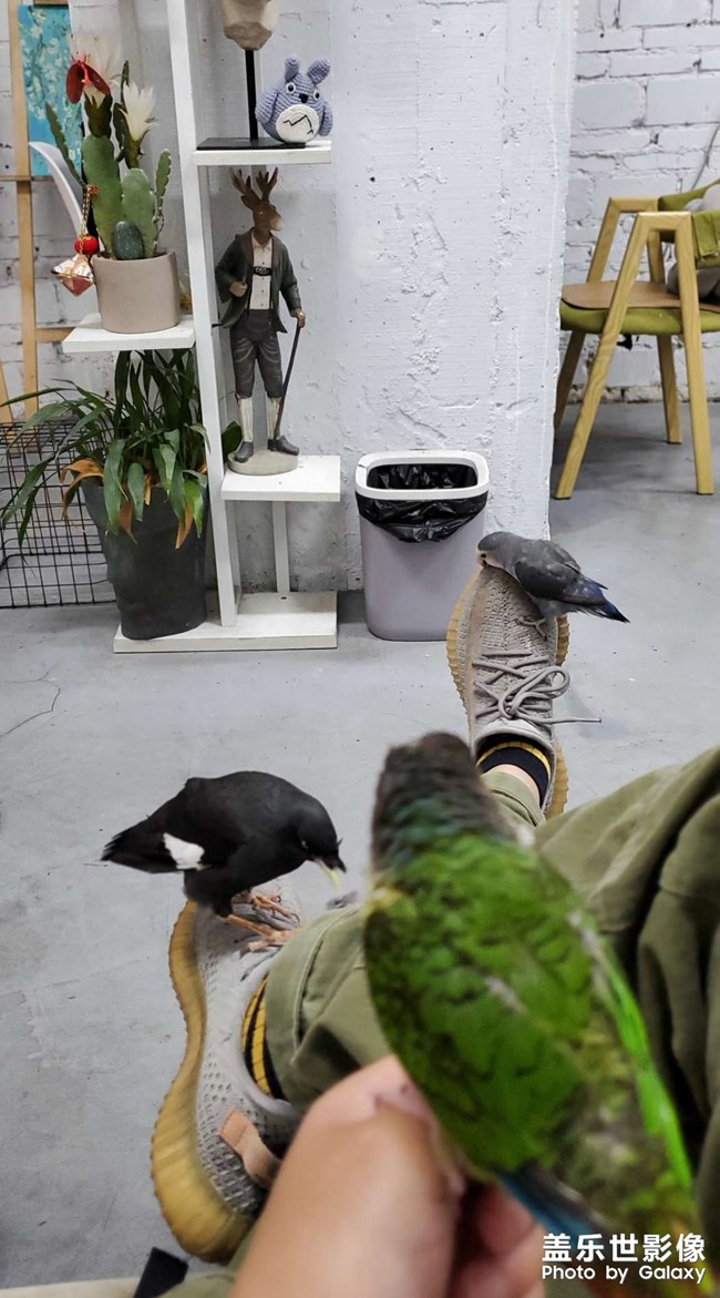 周末放風(fēng)～