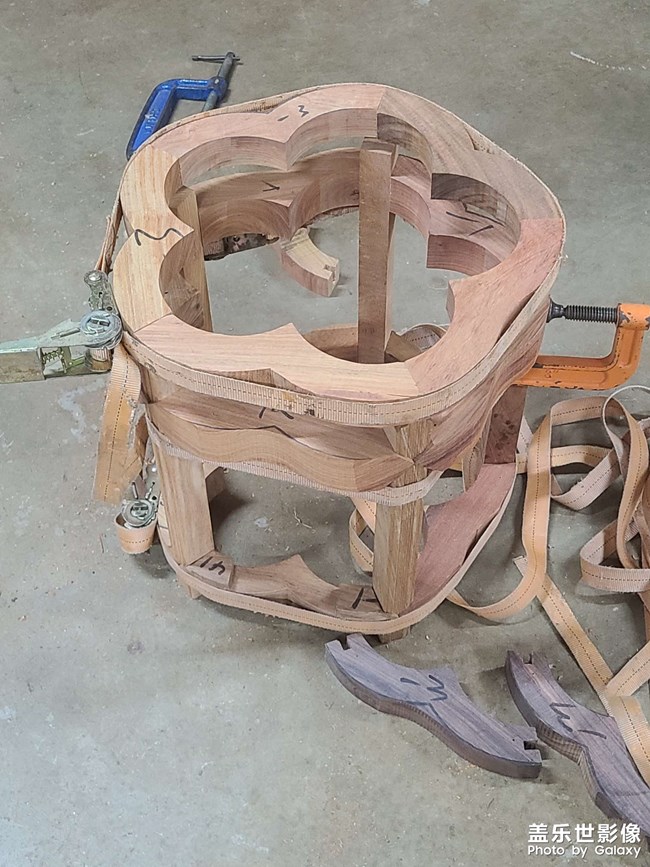 緬甸花梨木.梅花凳