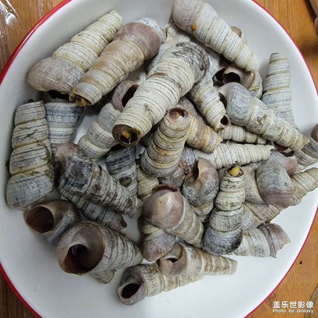 海邊人的日常