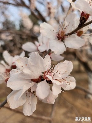 【生活的色彩】+記錄美好的瞬間