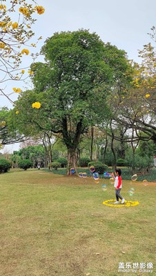 【生活的色彩】休閑的人們