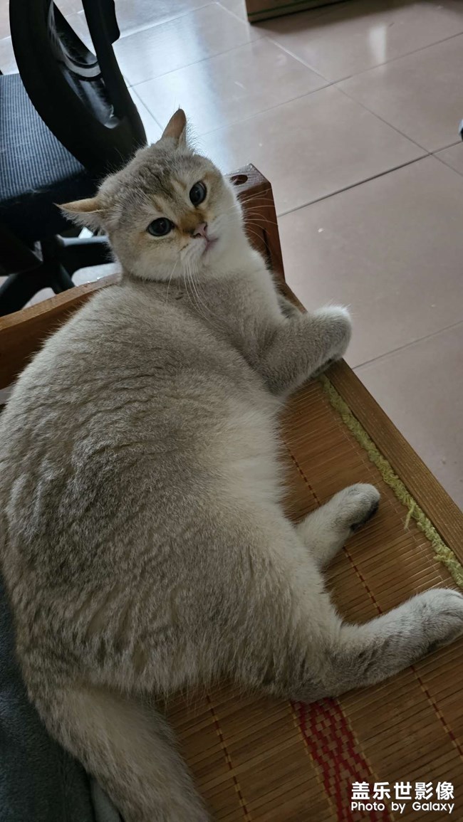 周一，誒，不想起床