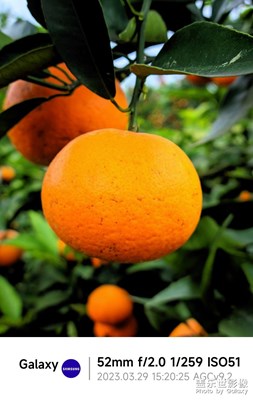 【美好時(shí)光】+遇見歡樂