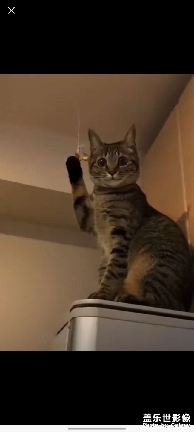 記錄美好生活蓋樂世s20ultra 