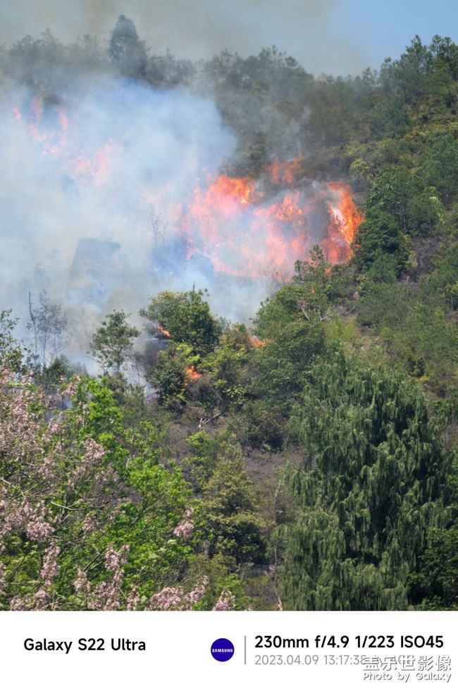 放火燒山，牢底坐穿