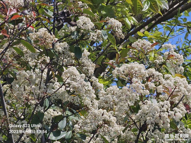 s23ultra.續(xù)航真的比s22ultra好多了