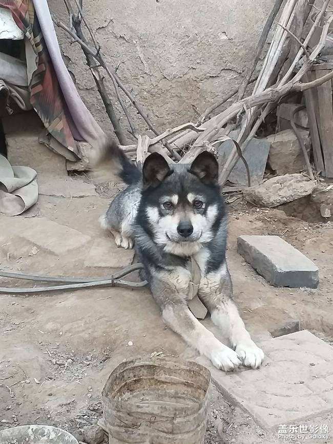 勇敢的黑子值班記
