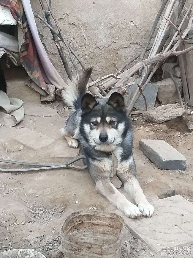 勇敢的黑子值班記