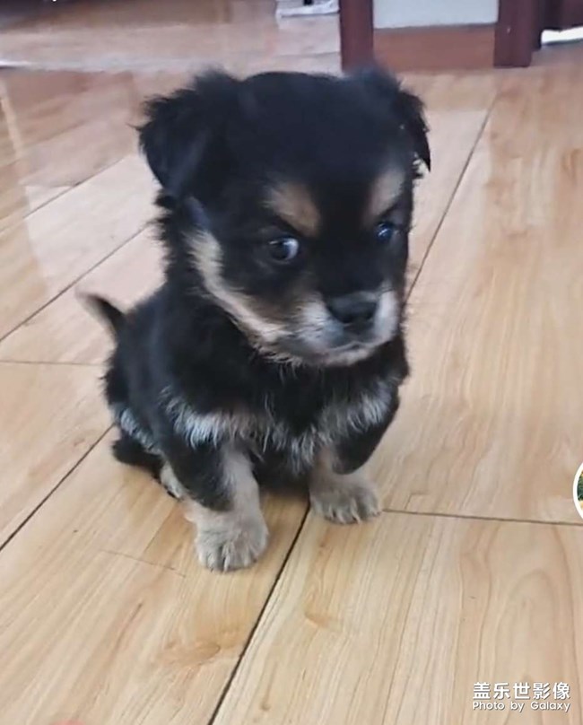 修??