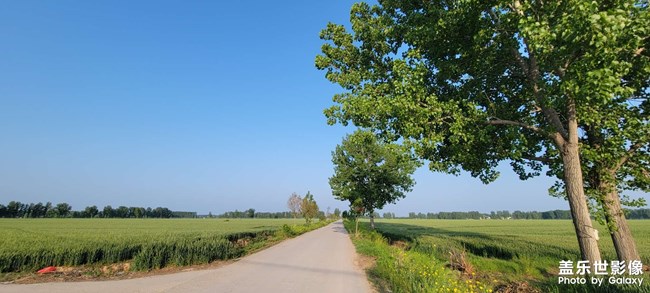 三星s21+手機錄制視頻的時候經(jīng)?？? title=