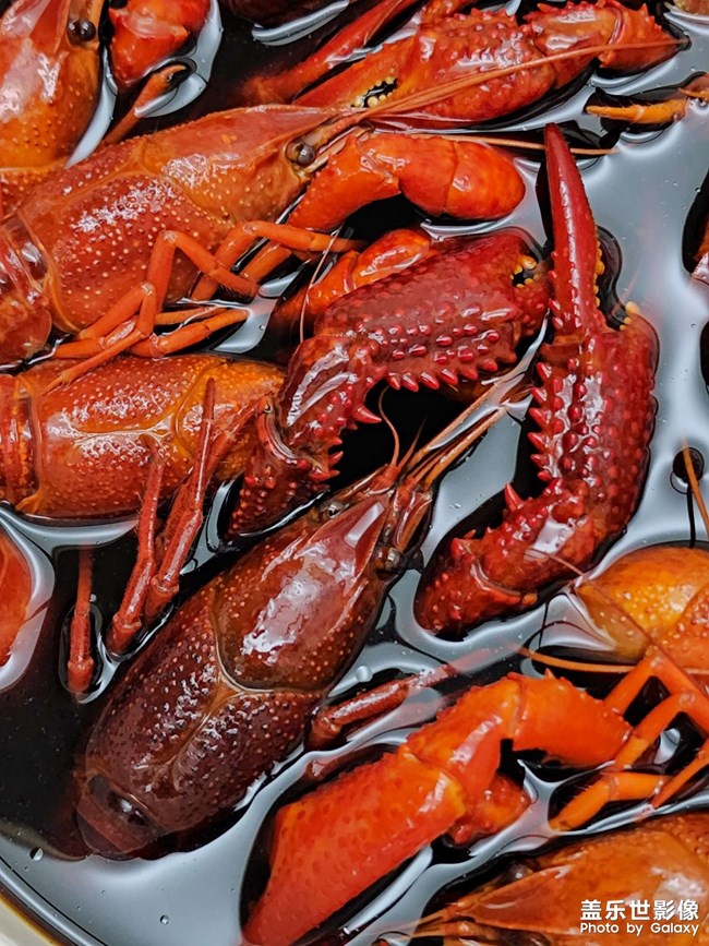 五一偷的浮生閑