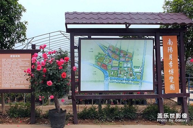 南陽月季博覽園