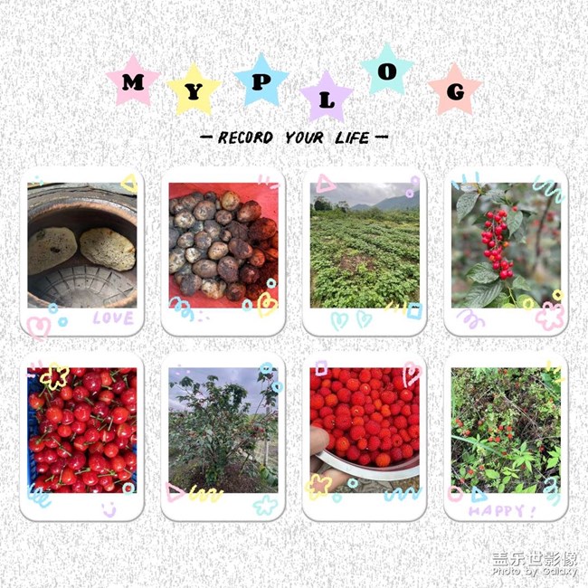 三星相冊新功能