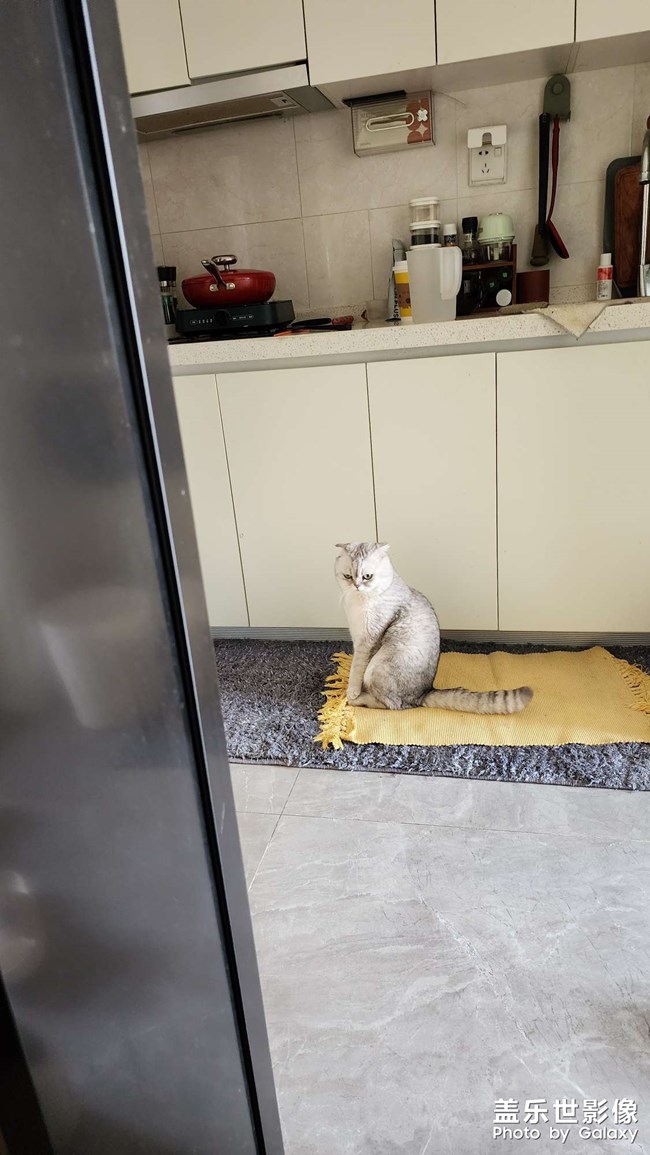 相機問題，有小點