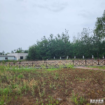 【夏日好時(shí)光 】+河邊相約
