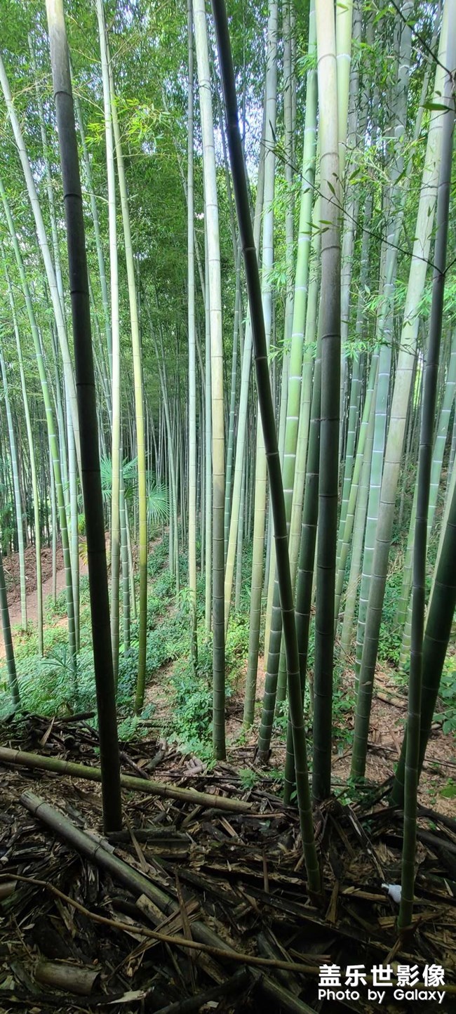 8月了，好快啊