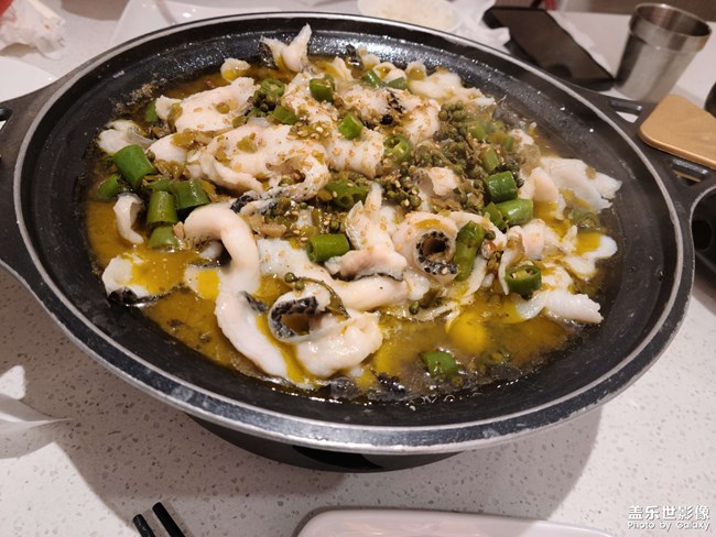 隨手拍的每一天