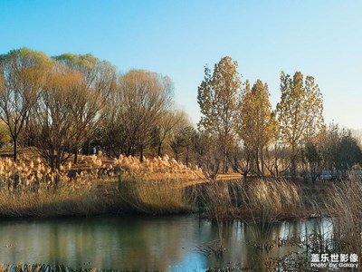 已開獎(jiǎng)【蓋樂世影像周賽第321期】—— 快樂隨拍