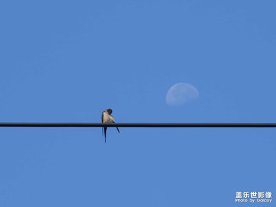 【快樂隨拍】對月梳妝