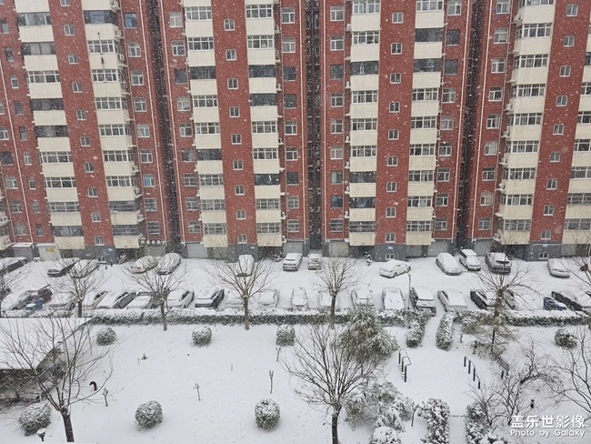 預(yù)計今明兩天我市有大雪到暴雪，部分學校放假。