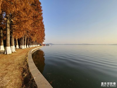 【喜迎2024】+冬日武漢東湖