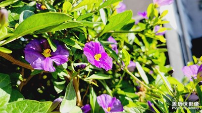 【辭舊迎新】+新生活新起點(diǎn)